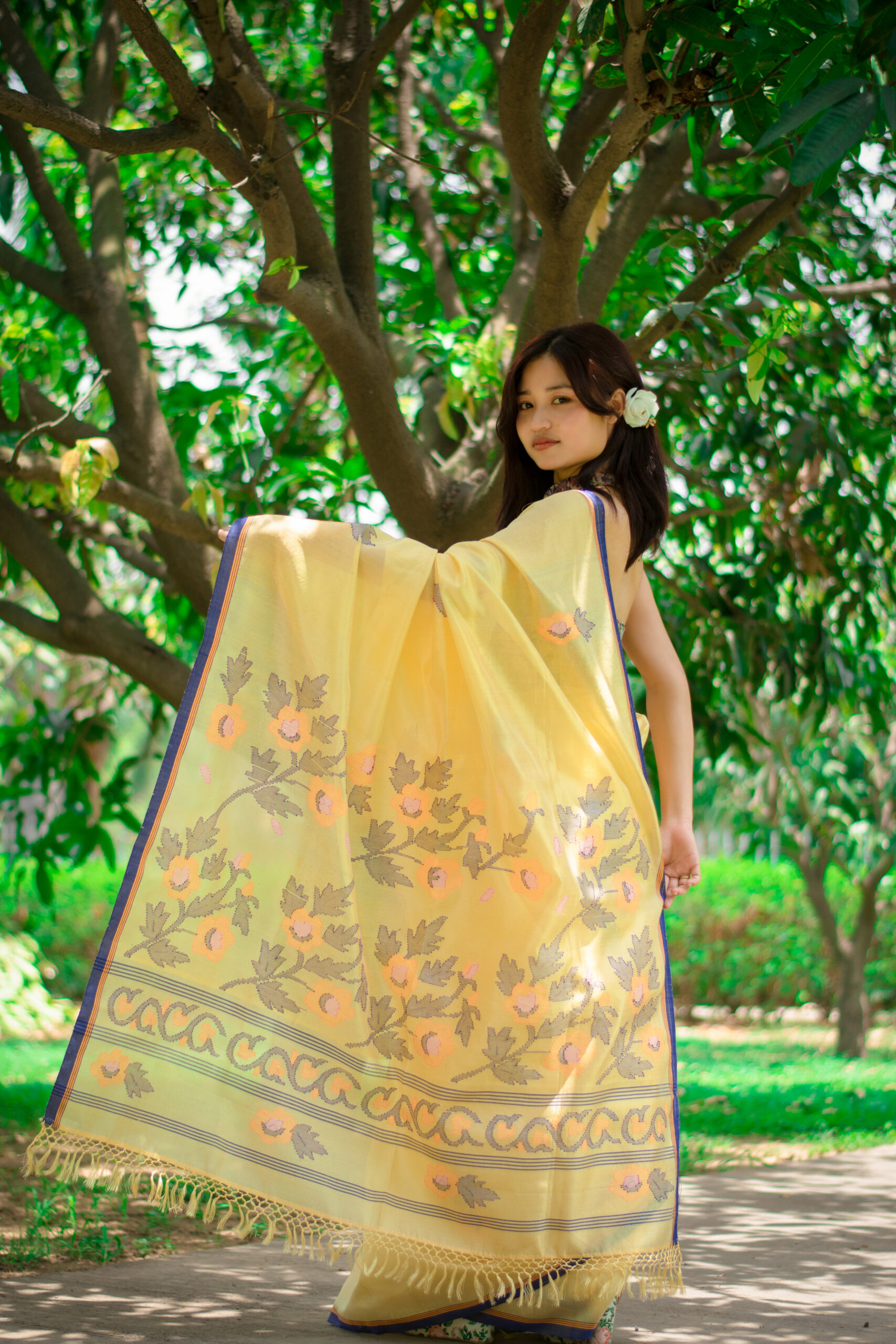 Sand Gold Pure Mulberry Saree with Deep blue Border