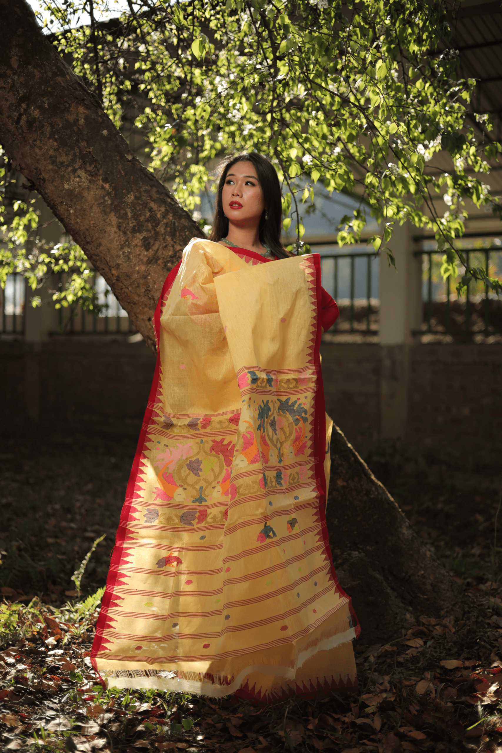 Pure Cotton Yellow Wangkhei Saree with Royal Red Border - Image 4