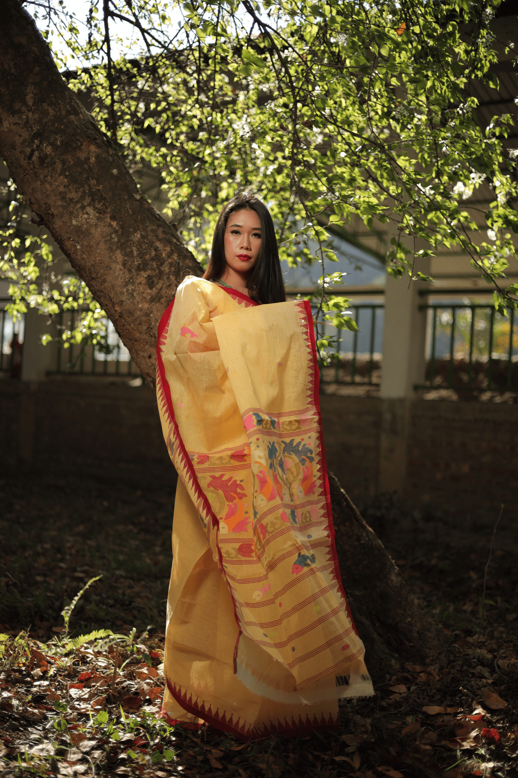 Pure Cotton Yellow Wangkhei Saree with Royal Red Border - Image 2
